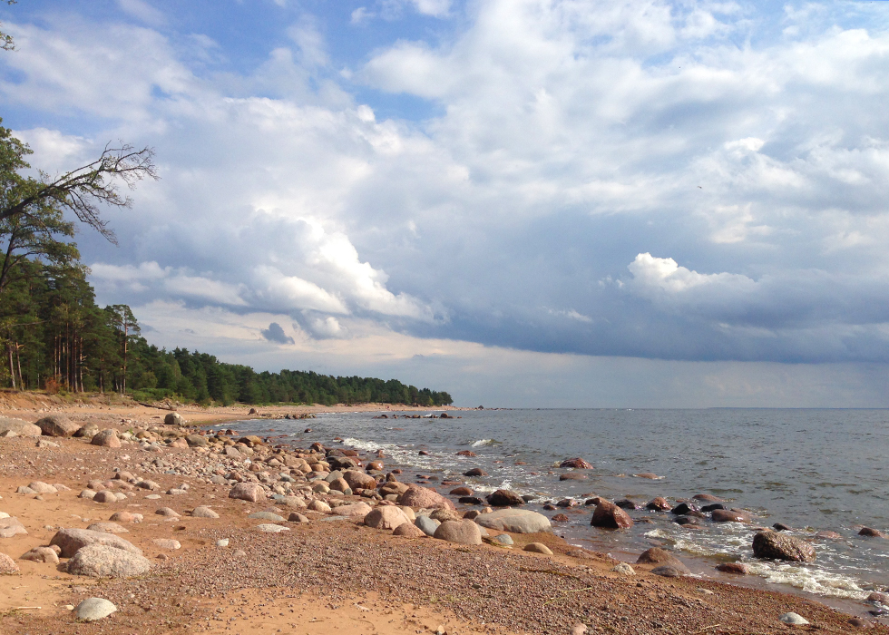 Пляж на финском заливе.