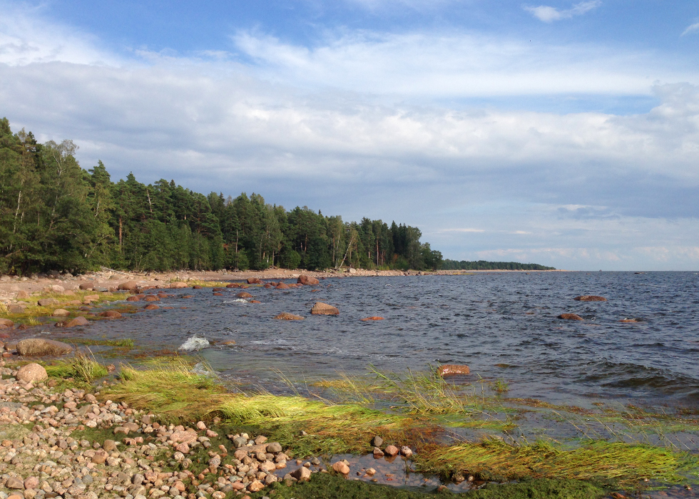 Пляж на финском заливе.