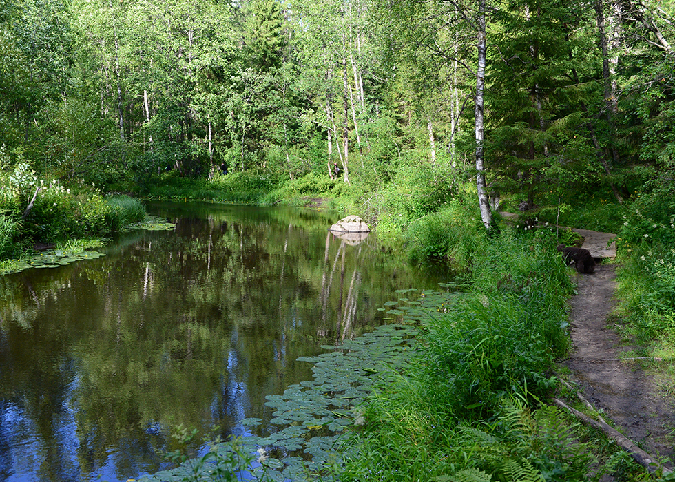 Река Рощинка в Линдуловской роще.
