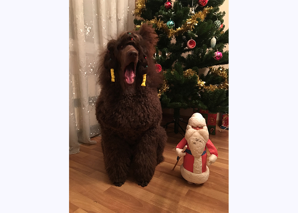 Мы с Дедом Морозом у ёлочки в новогоднюю ночь в Москве.