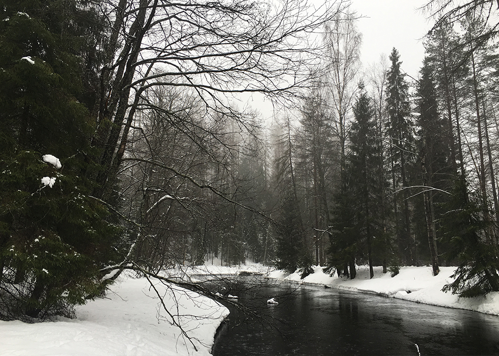 Река Рощинка в Линдуловской роще в зимний день.