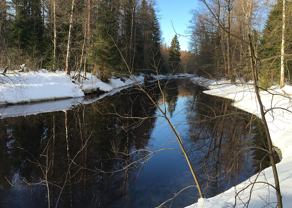 Река Рощинка в Линдуловской роще в солнечный зимний день.