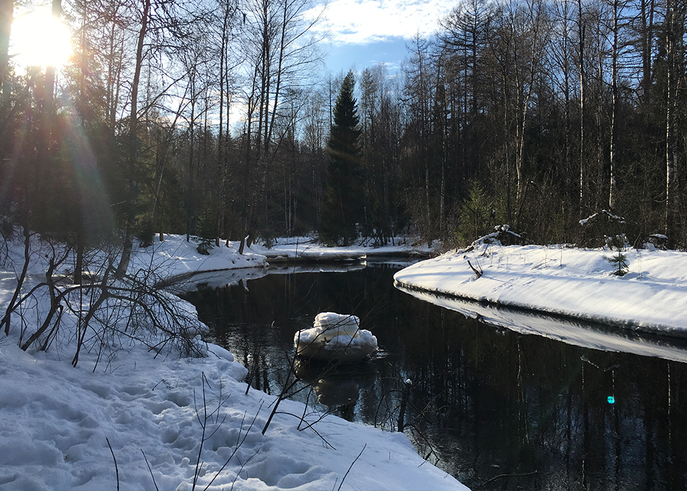 Река Рощинка в Линдуловской роще в солнечный зимний день.