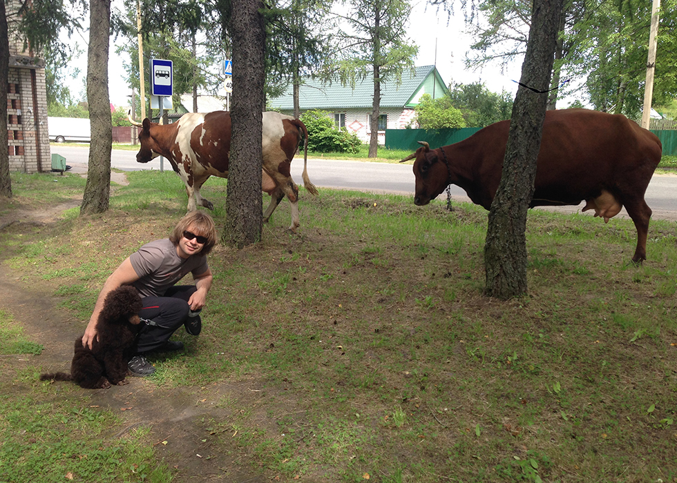 Я с хозяином и коровами в Новой Ладоге.