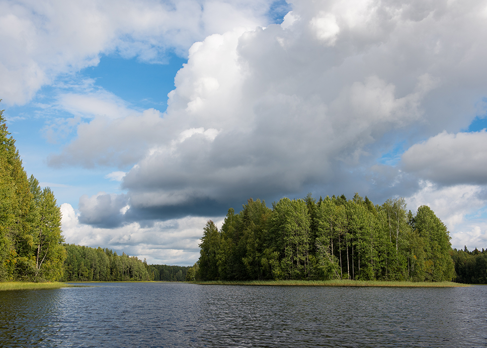 Пять озер в Кенозерском национальном парке.