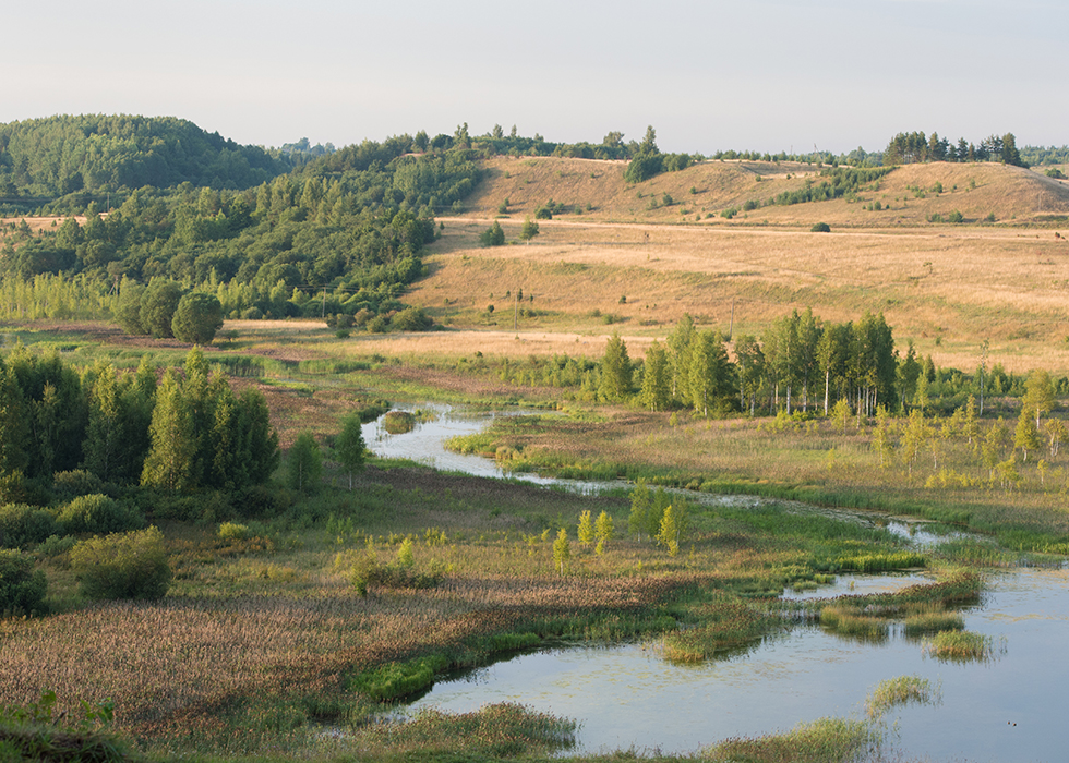 Поля, холмы и река в Изборске.