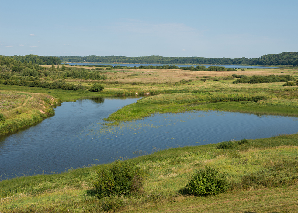 Вид на реку Сороть в Михайловском.